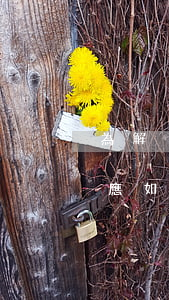 為解決經濟糾紛私自扣押他人車輛，被侵害人應如何救濟？